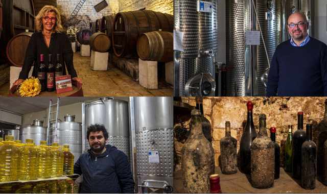 Le secolari cantine del sud-est barese, l dove si produce il sontuoso Primitivo di Gioia